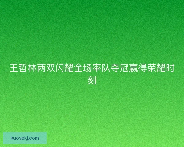 王哲林两双闪耀全场率队夺冠赢得荣耀时刻